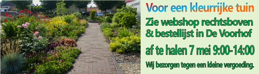 webshop kleurrijke tuin